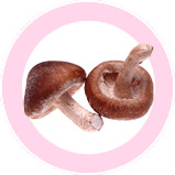 香菇