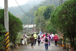 山林親子休閒路跑中段