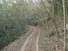 環山生態區步道