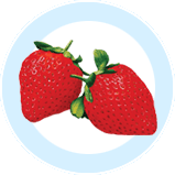 草莓                                              