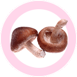 香菇