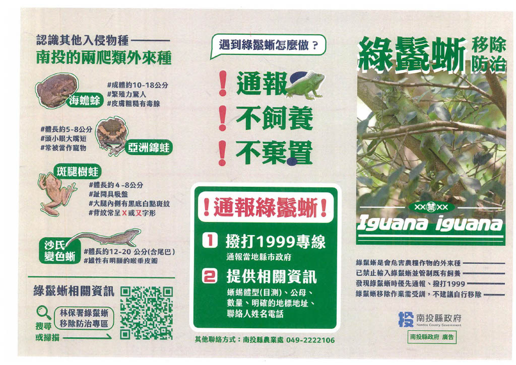 綠鬣蜥防治宣導摺頁2                                                                                                                                                                                                                                            