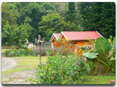 喬園山莊民宿小木屋