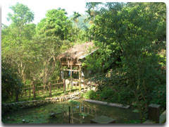 大坪休閒農場景觀