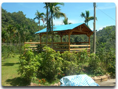 星星的故鄉休閒農場涼亭