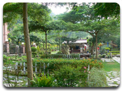 千甲農莊庭園造景