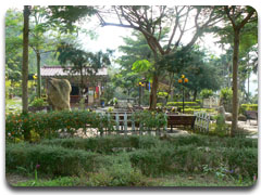 千甲農莊庭園景觀