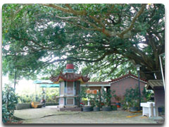 福壽長壽巨榕樹下土地公廟