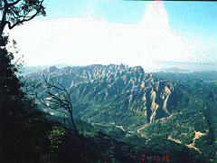 大橫屏山俯看九九峰群峰