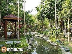 梅之林園區內一隅池塘