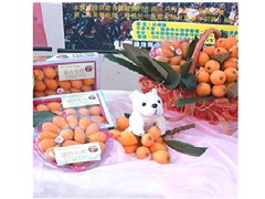 福緣休閒農場特產